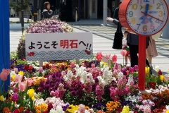 明石の花壇【2018年4月】