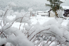 丹波の雪景色【2019年2月】