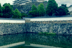 梅雨の姫路城【2024年6月】
